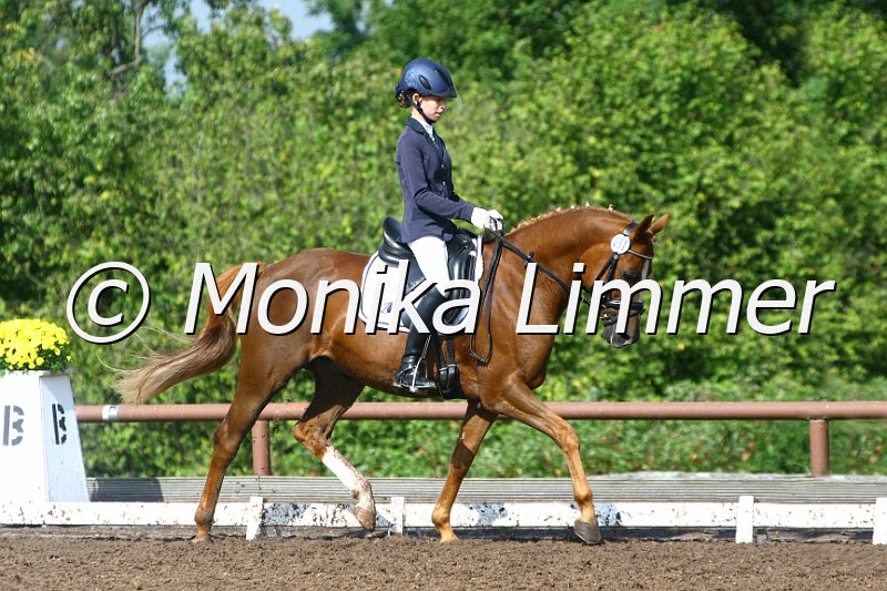 109M3536_Dreamcatcher_Dressur E_e.JPG